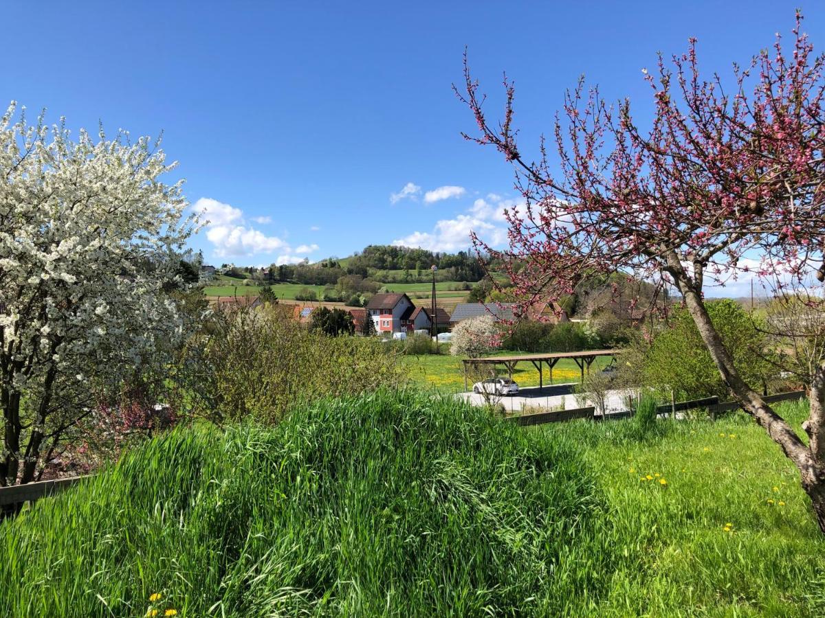 Ferienwohnungen Und Appartements Im Idyllischen Vierkanthof, Gruppenurlaube ลอยแพร์ดอร์ฟ เบ เฟิร์สเทนเฟลด์ ภายนอก รูปภาพ